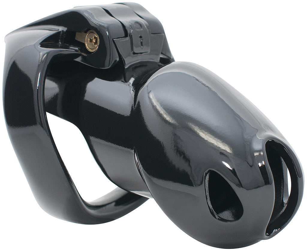 Standard black House Trainer V4 chastity device.