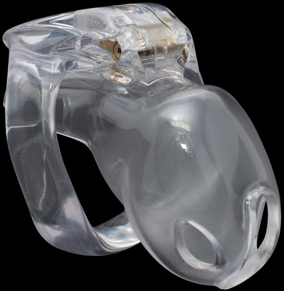 Nano clear House Trainer V4 chastity device.