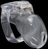 Nano clear House Trainer V4 chastity device.